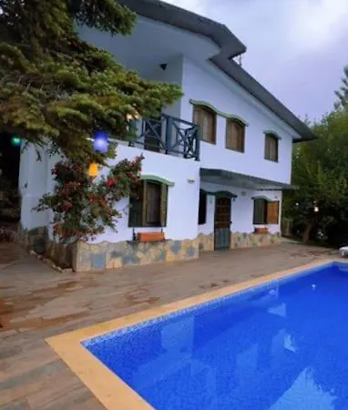 Mersin Oezel Havuzlu Jakuzili Sinap Chalet Erdemli