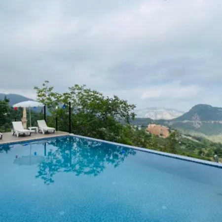 Chalet Mersin Oezel Havuzlu Jakuzili Sinap *